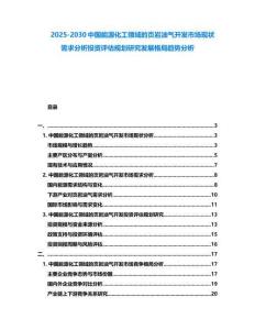 2025-2030中國(guó)能源化工領(lǐng)域的頁(yè)巖油氣開(kāi)發(fā)市場(chǎng)現(xiàn)狀需求分析投資評(píng)估規(guī)劃研究發(fā)展格局趨勢(shì)分析