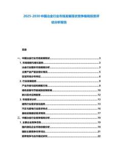 2025-2030中国冶金行业市场发展现状竞争格局投资评估分析报告