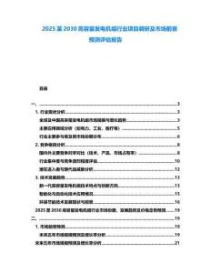 2025至2030高容量發電機組行業項目調研及市場前景預測評估報告