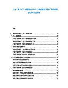 2025至2030中國移動BPM行業發展研究與產業戰略規劃分析評估報告