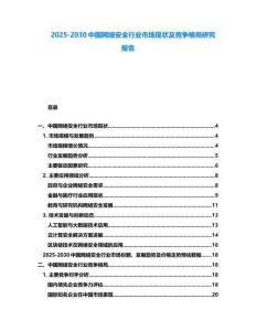 2025-2030中國網絡安全行業市場現狀及競爭格局研究報告