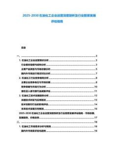 2025-2030石油化工企業運營深度剖析及行業前景發展評估指南