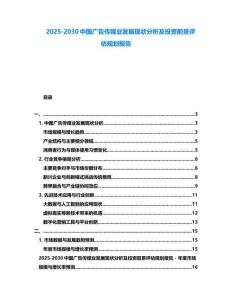 2025-2030中國廣告傳媒業發展現狀分析及投資前景評估規劃報告