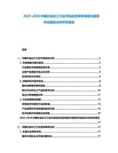 2025-2030中國石油化工行業市場動態競爭格局與融資評估規劃分析研究報告