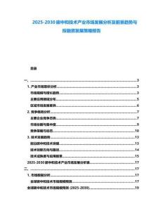 2025-2030碳中和技術產業市場發展分析及前景趨勢與投融資發展策略報告