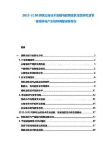 2025-2030钢铁冶炼技术发展与应用现状深度研究及节能减排与产业结构调整深度报告