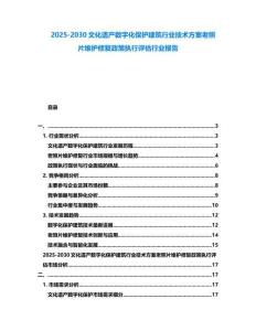 2025-2030文化遺產(chǎn)數(shù)字化保護建筑行業(yè)技術方案老照片維護修復政策執(zhí)行評估行業(yè)報告