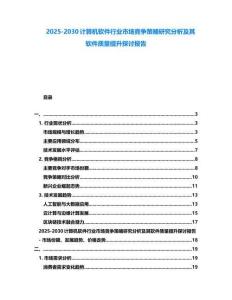 2025-2030計算機軟件行業市場競爭策略研究分析及其軟件質量提升探討報告