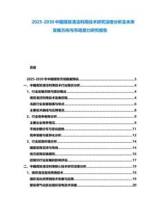 2025-2030中國煤炭清潔利用技術研究深度分析及未來發展方向與市場潛力研究報告
