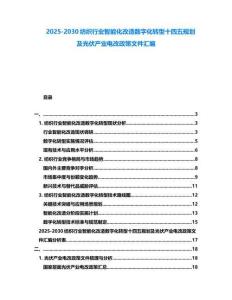 2025-2030紡織行業智能化改造數字化轉型十四五規劃及光伏產業電改政策文件匯編