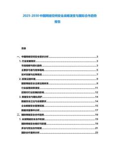 2025-2030中國網絡空間安全戰略演變與國際合作趨勢報告