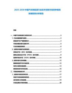 2025-2030中国汽车新能源行业技术创新市场竞争格局发展前景分析报告