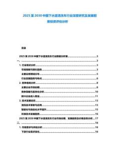 2025至2030中國下水道清洗車行業深度研究及發展前景投資評估分析