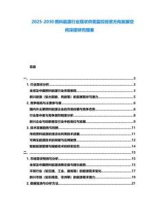 2025-2030燃料能源行业现状供需监控投资方向发展空间深度研究提案
