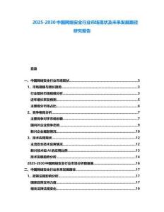 2025-2030中国网络安全行业市场现状及未来发展路径研究报告