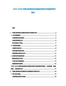 2025-2030中国卫星导航定位服务应用及市场前景研究报告