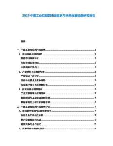 2025中国工业互联网市场现状与未来发展机遇研究报告