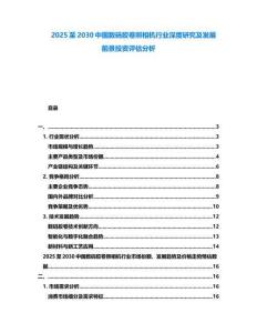 2025至2030中國數碼膠卷照相機行業深度研究及發展前景投資評估分析