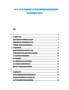 2025-2030风能发电行业市场深度调研及能源传播效率与投资策略研究报告