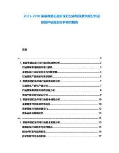2025-2030圣彼得堡石油开采行业市场现状供需分析及投资评估规划分析研究报告