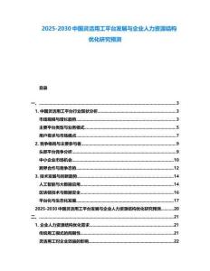 2025-2030中國靈活用工平臺發展與企業人力資源結構優化研究預測