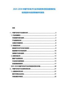 2025-2030中国汽车电子行业市场竞争态势深度调研及投资趋势与投资策略研究报告