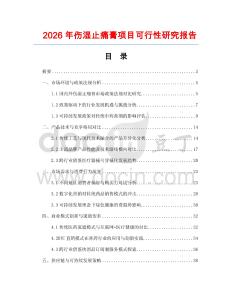 2026年傷濕止痛膏項目可行性研究報告