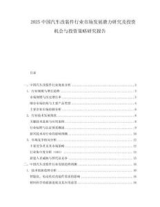 2025中国汽车改装件行业市场发展潜力研究及投资机会与投资策略研究报告