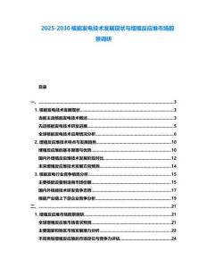2025-2030核能發(fā)電技術(shù)發(fā)展現(xiàn)狀與增殖反應堆市場前景調(diào)研
