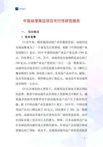中國(guó)動(dòng)漫周邊項(xiàng)目可行性研究報(bào)告