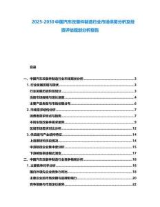 2025-2030中国汽车改装件制造行业市场供需分析及投资评估规划分析报告