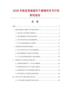 2026年數顯恒溫鼓風干燥箱項目可行性研究報告