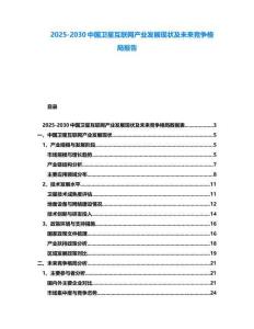 2025-2030中國衛星互聯網產業發展現狀及未來競爭格局報告
