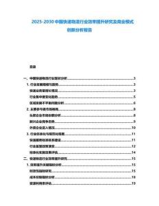 2025-2030中國快遞物流行業效率提升研究及商業模式創新分析報告