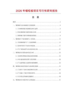 2026年錫鉛板項(xiàng)目可行性研究報(bào)告