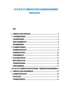2025至2030中國勞拉芯片組行業(yè)深度研究及發(fā)展前景投資評估分析