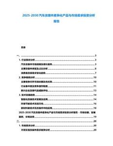2025-2030汽车改装件差异化产品与市场需求投资分析报告