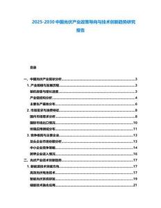 2025-2030中国光伏产业政策导向与技术创新趋势研究报告