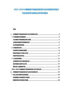 2025-2030中国智能气象监测系统行业市场现状供需分析及投资评估规划分析研究报告