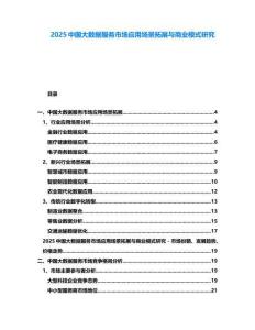 2025中國大數(shù)據(jù)服務(wù)市場應(yīng)用場景拓展與商業(yè)模式研究