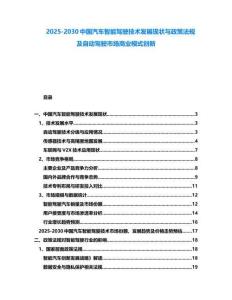 2025-2030中國汽車智能駕駛技術發展現狀與政策法規及自動駕駛市場商業模式創新