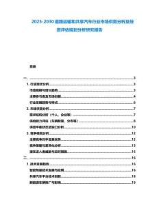2025-2030道路運輸和共享汽車行業市場供需分析及投資評估規劃分析研究報告