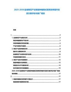 2025-2030鹽城棉花產業智能種植模式需用效率提升投資方案評估與推廣規劃