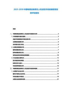 2025-2030中國電網運維用無人機巡檢市場發展前景投資評估報告