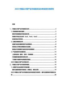 2025中國云計算產業市場現狀及未來投資方向研究