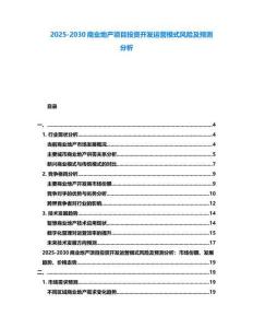 2025-2030商業地產項目投資開發運營模式風險及預測分析
