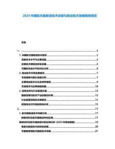 2025中國航天器制造技術突破與商業航天發展前景報告