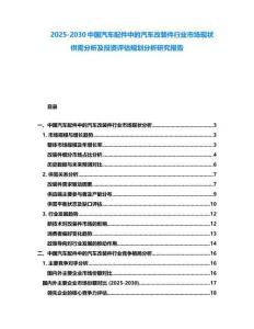 2025-2030中国汽车配件中的汽车改装件行业市场现状供需分析及投资评估规划分析研究报告