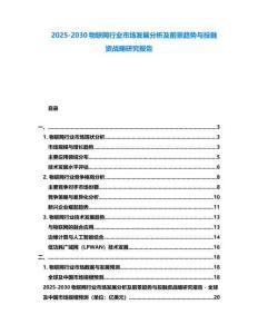 2025-2030物聯網行業市場發展分析及前景趨勢與投融資戰略研究報告