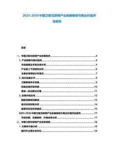 2025-2030中國衛星互聯網產業發展格局與商業價值評估報告